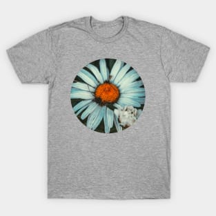 Daisy Flower Grunge Photograph T-Shirt